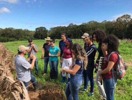 Curso de Engenharia Agrícola e Ambiental da UFSB recebe nota máxima na avaliação do MEC