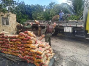 Mais de quatro toneladas de carvão são apreendidas em Caravelas