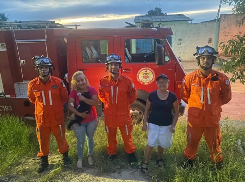 Gata prenha fica presa entre duas paredes e é resgatada por bombeiros de Eunápolis