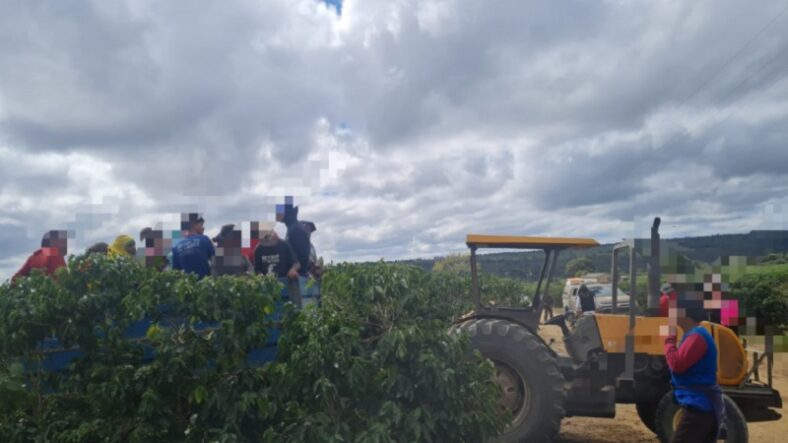 25 trabalhadores são resgatados em situação precária em fazenda de café na Bahia