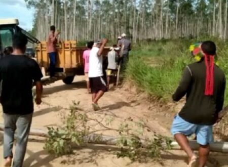 Cacique é preso em flagrante após invasão de fazenda na região de Caraíva