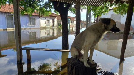 População afetada pelas chuvas na Bahia ultrapassa 9 mil com cerca de 7 mil desalojados