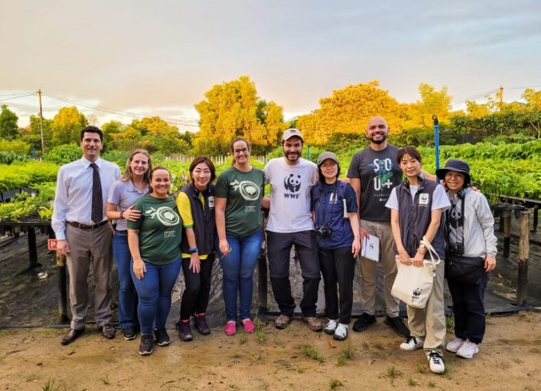 Teixeira: Base do Programa Arboretum do MP recebe visita da WWF do Japão