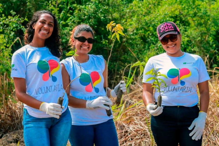 Suzano promove plantio de mudas em corredores ecológicos em Mucuri