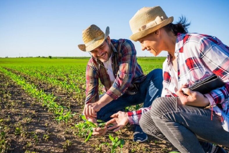 Agronegócio representa 19,6% da economia baiana no 1º trimestre de 2023