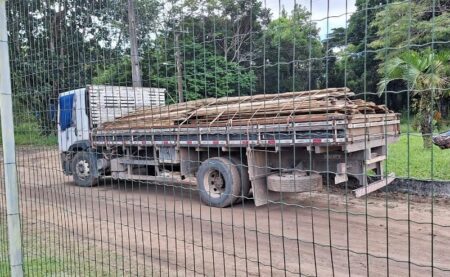 CIPPA flagra caminhão transportando 350 tábuas de madeira ilegal