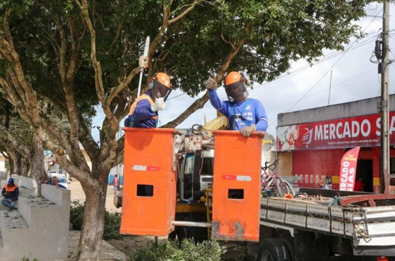 Ruas de Teixeira de Freitas recebem serviço de manutenção e poda de árvores