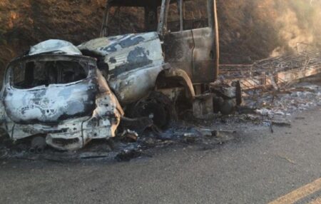 Médico morre carbonizado após carro bater em caminhão e pegar fogo na BR-367