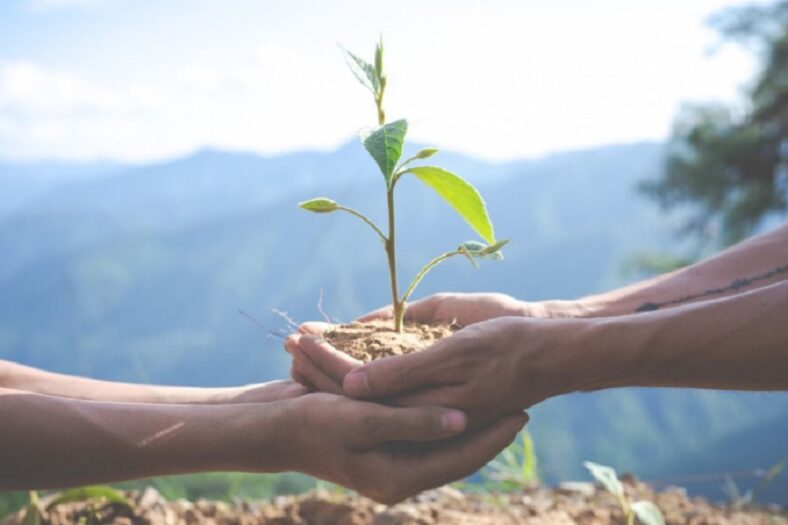 No dia do meio ambiente, Veracel recebe evento de conscientização ambiental