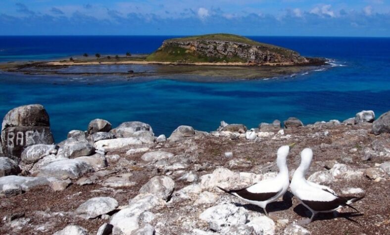 APA Ponta da Baleia em Abrolhos promove oficina de formação e educação ambiental