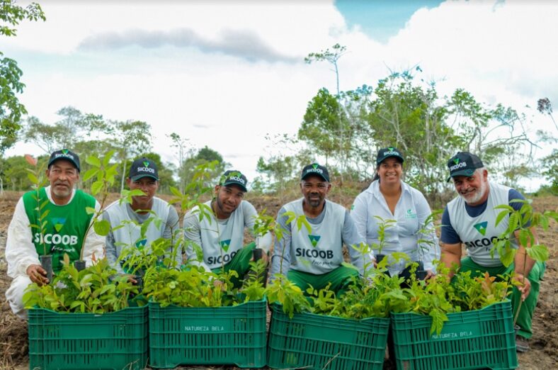 Projeto Semeando Cooperativismo incentiva preservação do meio ambiente na Costa do Descobrimento