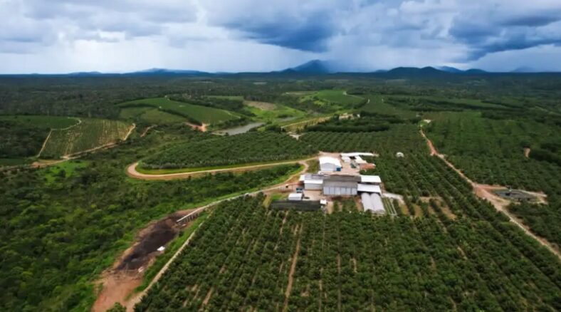 Produtora rural do Extremo Sul é referência no agronegócio baiano