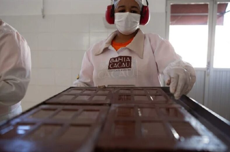 Chocolates da Agricultura familiar marcam presença na Chocolat Bahia 2023 em Ilhéus