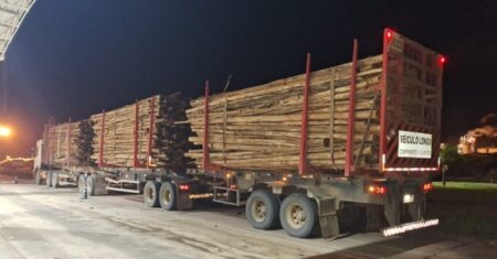 Veracel destaca cuidados com o transporte de madeira para prevenção de acidentes