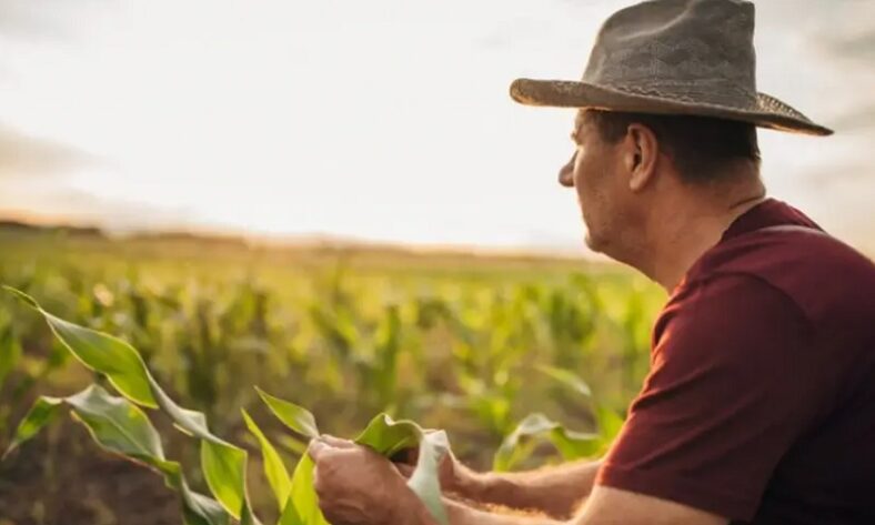 Itanhém: Sebrae realiza Dia de Campo com capacitação para produtores rurais