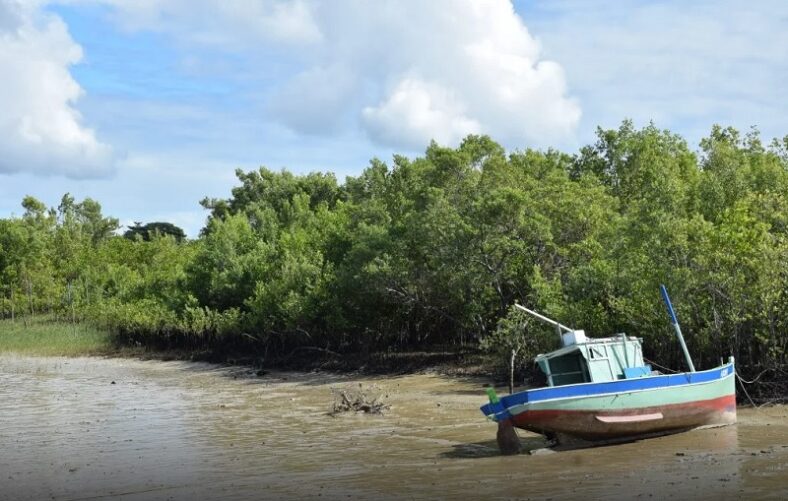 Oficina na APA em Caravelas impulsiona projeto pedagógico da Zona Costeira e Marinha