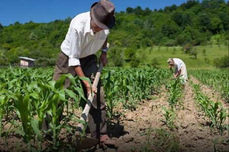 Agricultores familiares da BA já podem fazer inscrição no Programa Garantia Safra