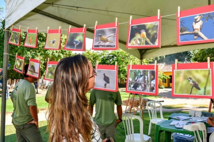 Porto Seguro: Inema discute os impactos da gripe aviária durante o Festival de Aves