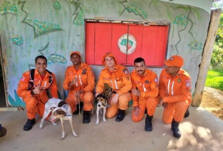 Drone é usado por bombeiros para resgatar cachorros em morro de 350m de altura em Itamaraju