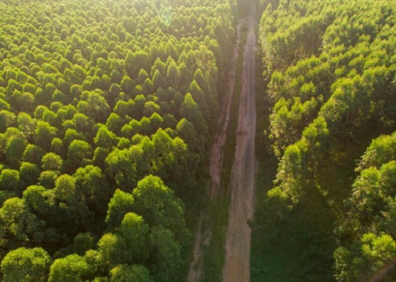 Veracel realiza campanha de conscientização na região do Sul da Bahia