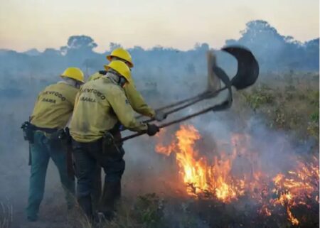 Ibama abre vagas para brigadistas de prevenção de incêndios florestais no Extremo Sul