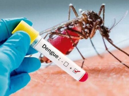 Sesab confirma epidemia de dengue em municípios baianos; Porto Seguro tem alta incidência