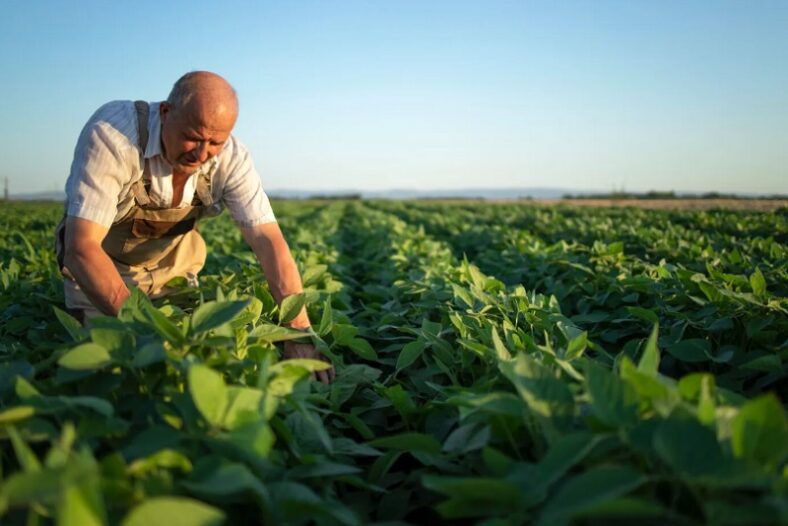 Com participação de 28% na economia baiana, PIB do agronegócio totaliza R$ 32 bilhões