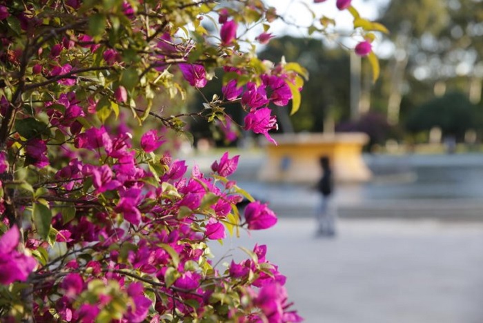 Inverno chega ao fim dando lugar à Primavera que começa na madrugada deste sábado