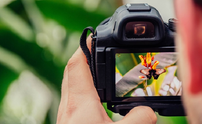 CVR Costa do Cacau promove Concurso Fotográfico Juventude Verde