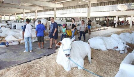 Seagri confirma realização da 33ª Fenagro, maior feira agropecuária do Norte-Nordeste