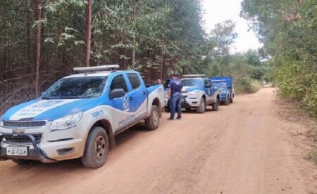 Corpo de homem é encontrado com sinais de violência em plantação de eucalipto