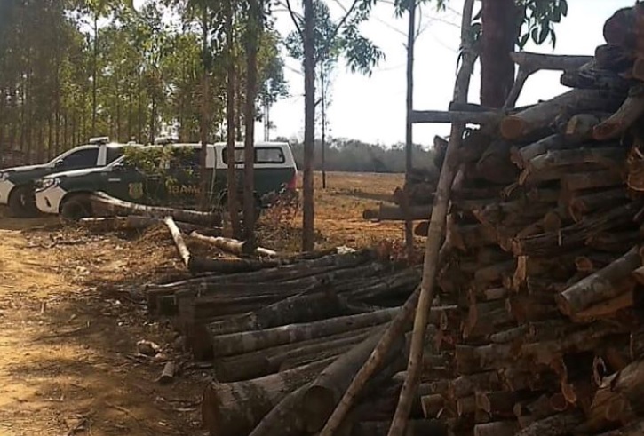 Ibama embarga 148 hectares de áreas desmatadas ilegalmente no Sul e Extremo Sul baiano