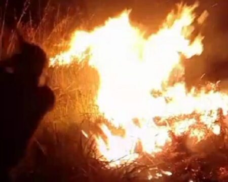 Incêndio ameaça reserva indígena Pataxó no Extremo Sul da Bahia