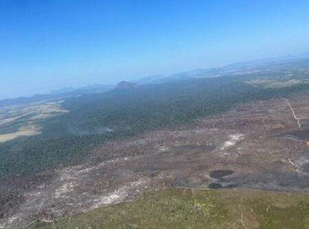 Após 11 dias, incêndio no Parque Nacional do Monte Pascoal é controlado