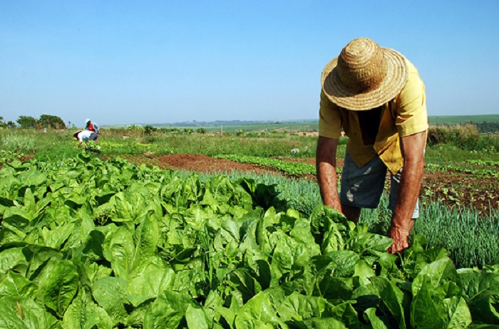 Novas regras facilitam inclusão de famílias em Programa de Reforma Agrária