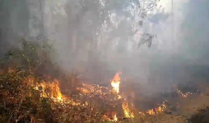 Incêndio devasta patrimônio histórico e ambiental no Extremo Sul da Bahia
