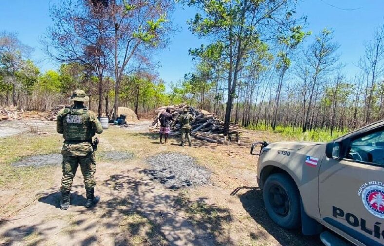 CIPPA apreende de mais de 3 mil kg de carvão vegetal Ilegal em Caravelas