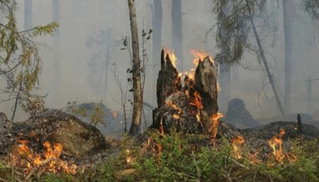 Fogo já destruiu cerca de 700 hectares e avança no Parque Nacional do Monte Pascoal