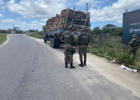 Operação Força Total resulta na apreensão de madeira ilegal em Porto Seguro
