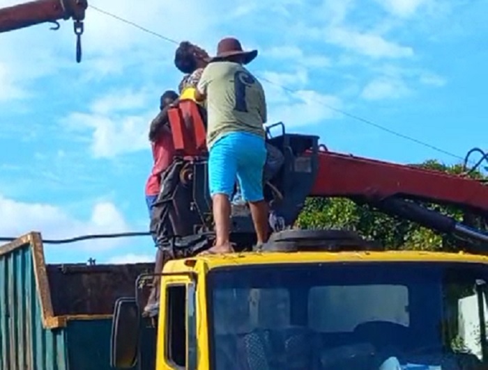 Trabalhador perde a vida em acidente com poda de árvore em Alcobaça