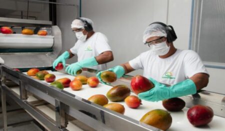 Exportações de frutas da BA alcançam marca histórica de R$1 bilhão até novembro