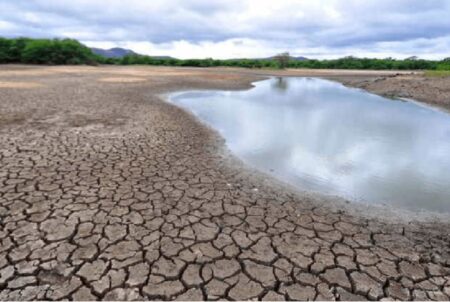 Governo da BA vai intensificar ações de enfrentamento à seca nos municípios
