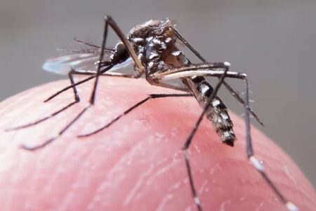 Sesab confirma terceira morte por dengue na BA e alerta para aumento de casos