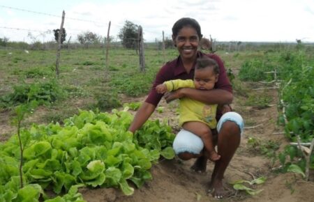 Famílias são selecionadas para novos assentamentos de Reforma Agrária na BA; veja lista