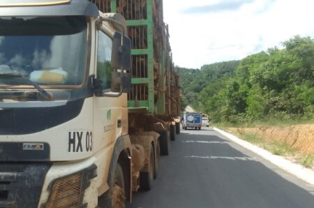 Ciclista morre atingido por toras de eucalipto de carreta em estrada no Extremo Sul