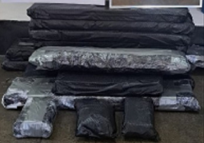 Dupla é presa com 28 kg de cocaína em navio de cruzeiro no Porto de Ilhéus