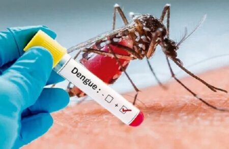 Com 20 óbitos registrados por dengue, Bahia reforça medidas para conter surto