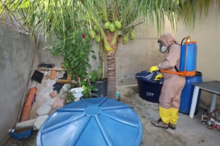 Sesab confirma mortes por Chikungunya em Teixeira de Freitas e Ipiaú