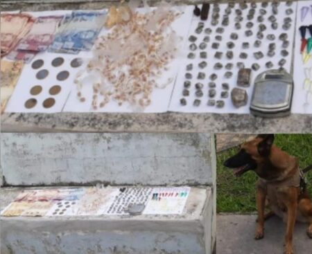 Cães farejadores da PM localizam drogas em Santa Cruz de Cabrália