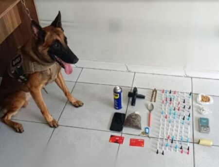 Arma e drogas são apreendidas pela PM em Porto Seguro em ação com apoio de cão policial